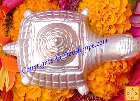 Parad Meru yantra on tortoise for wealth and prosperity