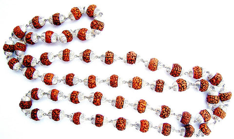 Rudraksha 8 mm mala in pure silver 55 beads