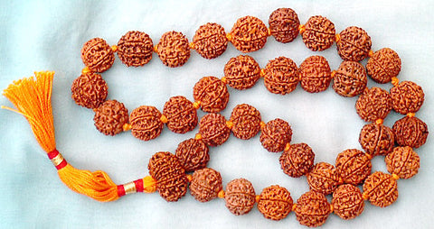Saturn Rudraksha Mala for Reducing Effects of Saturn (Shani Dev)