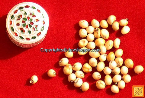 White Chirmi Beads in Silver Box - Very Rare Lucky Charm