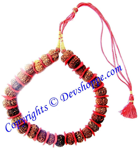 11 Mukhi (Eleven faced) Rudraksha mala of 27+1 beads