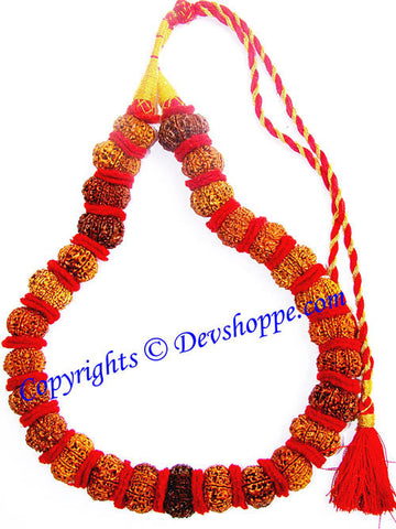 12 mukhi ( Twelve Faced ) Rudraksha mala of 27+1 beads