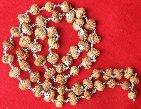 14 Mukhi Javanese Rudraksha Mala / Mahabali Hanuman Mala -  Comes with Lab certificate and X-ray report