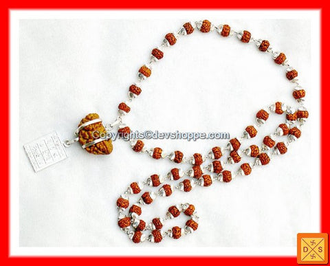 One Faced (1 Mukhi) Rudraksha with Surya Yantra and Silver Rudraksha Mala