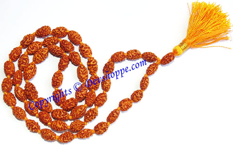 Two faced Rudraksha mala of 54+1 beads (oval shaped)