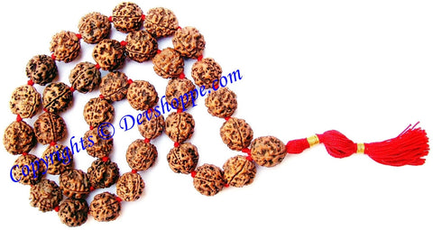 3 mukhi ( Three faced ) Rudraksha mala for pacifying Kuja (mangal) dosha , made from 3 mukhi rudraksha beads of Nepali origin