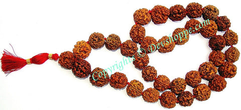 Rudraksha 4 mukhi (four faced) Rudraksha mala of 36+1 beads