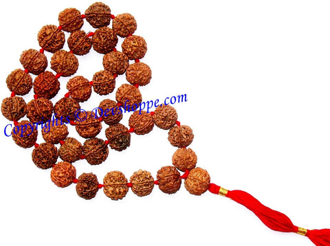 Rudraksha six faced (6 mukhi) rudraksha mala of 36+1 beads