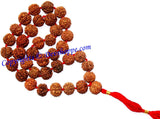 Rudraksha six faced (6 mukhi) rudraksha mala of 36+1 beads