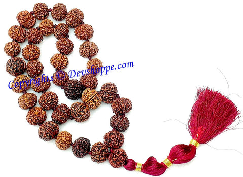 7 mukhi (Seven faced) rudraksha mala , 36+1 beads of nepali origin