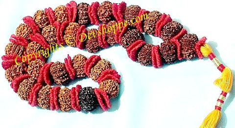 9 Mukhi (Durga) Rudraksha Mala - All Nine Faced Rudraksha Beads