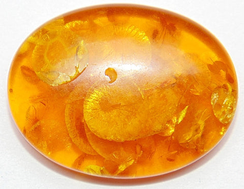 Honey baltic Amber