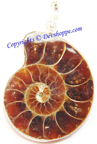 Beautiful Ammonite pendant in white metal
