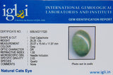 Lab certified Natural Cat's eye