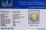 Lab certified Cats eye gem