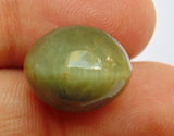 Natural Cat's eye gemstone