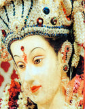 Maa Durga bag closeup