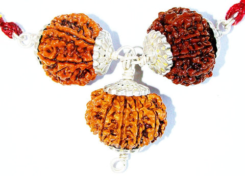 Evil protection Rudraksha Pendant for Protection from Black Magic Tantra Attacks and Evil Eye