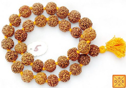 Five mukhi giant beads mala of 32+1 beads (18-22 mm) with knots between beads