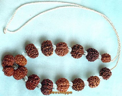 Rudraksha Siddha Mala with Rudrakshas  2-14 Faced, Gauri Shankar Rudraksha, Ganesha Rudraksha with Crystal Beads ~ Lab Certified beads