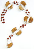 One faced Rudraksha mala
