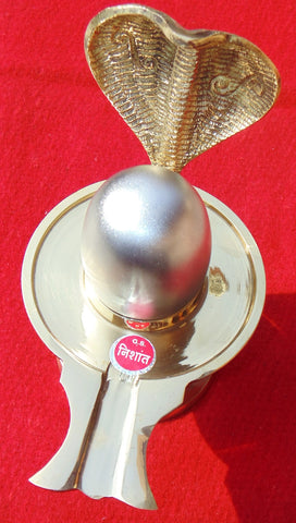 Parad shivlinga with brass jalheri