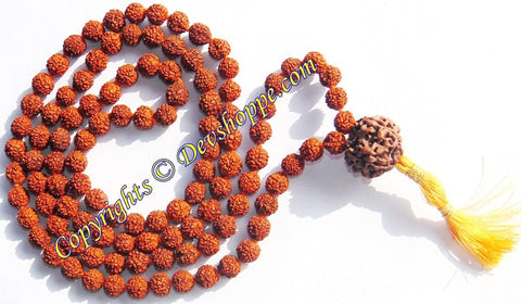 Rudraksha five faced ( 5 mukhi ) ravadhar mala with large Seven faced Sumeru bead (Guru bead)