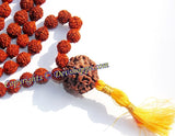 Rudraksha five faced ( 5 mukhi ) ravadhar mala with large Seven faced Sumeru bead (Guru bead)