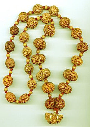 Rudraksha Siddha Mala with Rudrakshas 1 -14 faced and Sandalwood Beads ~ Lab Certified beads