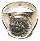 Shaligram Ring