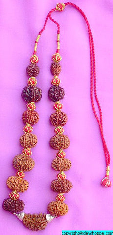 Rudraksha Siddha Mala with 1 -14 Faced Rudrakshas ~ Lab Certified beads